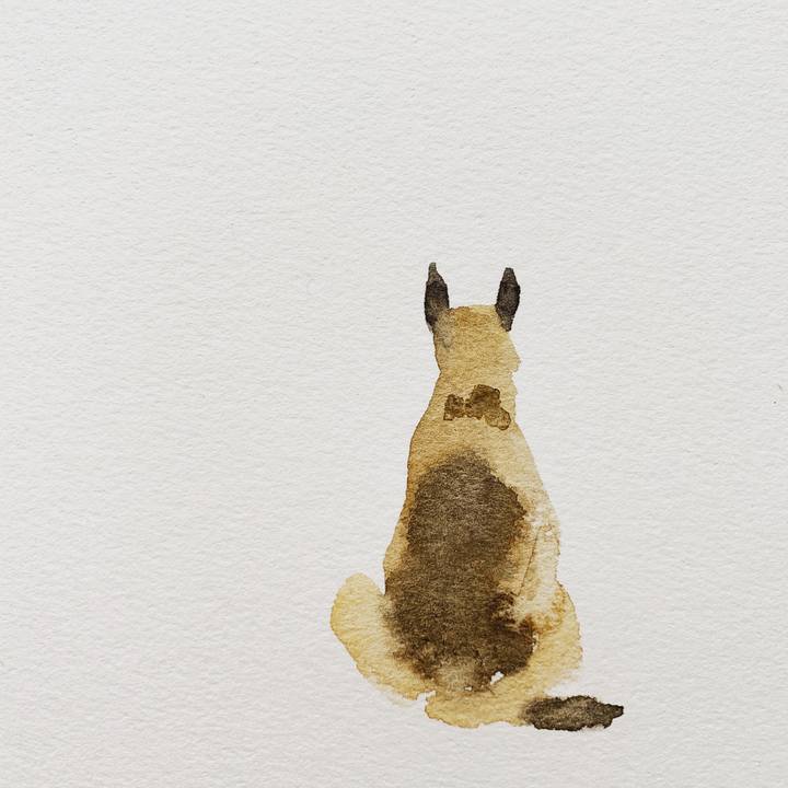 9d13cbc9 25da 46a3 8381 a6332a423787 1588108710278