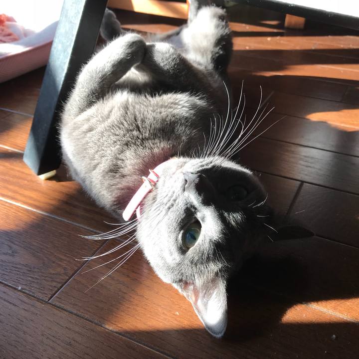 9d13ed14 9117 4f28 a86f db124aa6de28 1510533714813