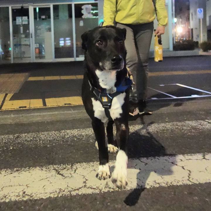 9d13ed92 7f9e 47d0 a5a2 bb30df1e8abe 1647169913140