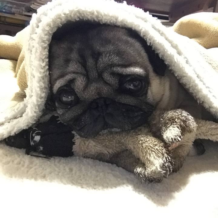 9d140951 5551 4a65 8761 94e6b94654eb 1519385925630