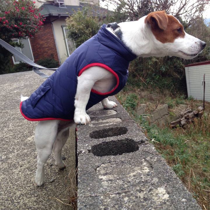 9d1414c2 681d 4dfe bf2a 498f3f5f6eca 1513757241410