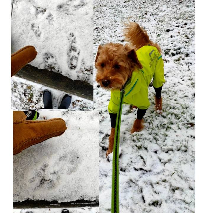 9d147832 402a 4432 b469 b30baf73de6c 1606780223600