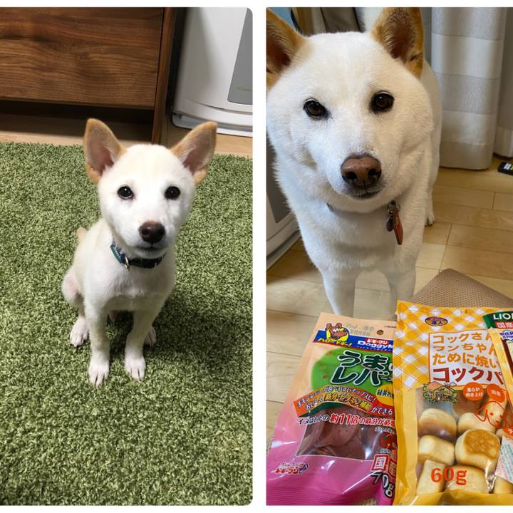 9d14c6ba 851f 4875 848b 60a4dd3cc5b8 1657887941504