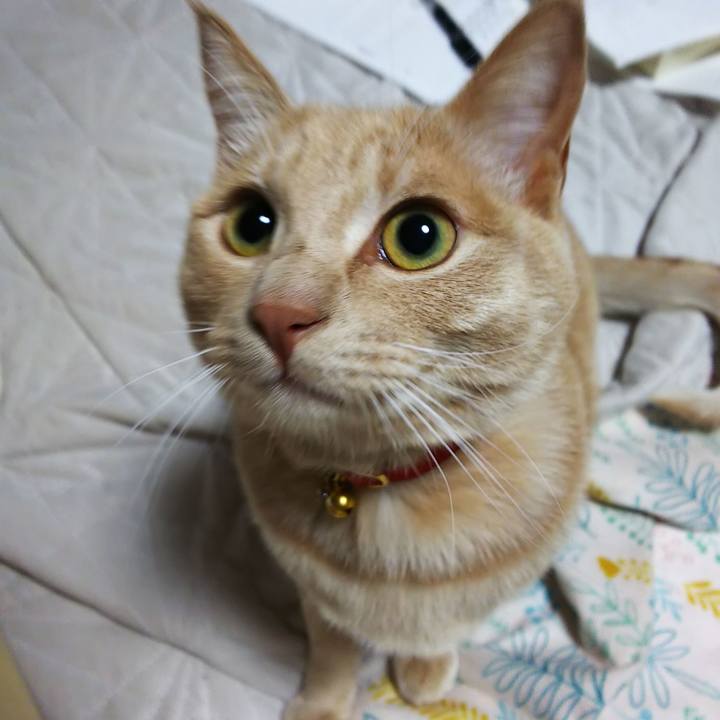 9d14d2c6 08ca 4c64 816f 31f190b40ad4 1556190881342