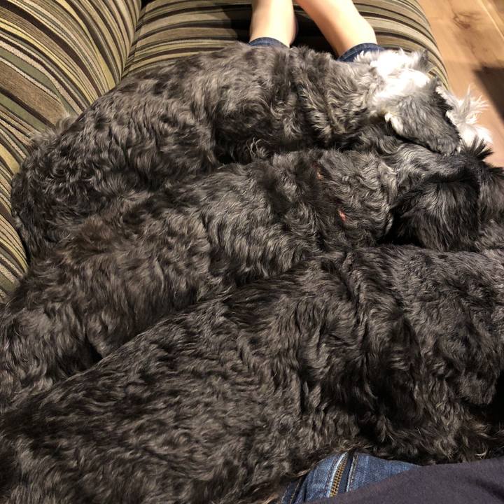 9d14dee0 1104 4a87 952b ed1af278a4b0 1529670115178