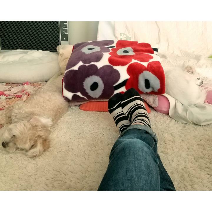 9d14ed87 0abc 4e57 8377 eda67738f9db 1604059616098