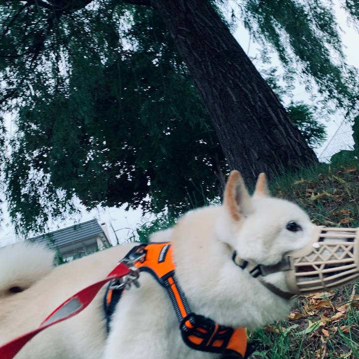 9d1511ff 2631 49d2 a6e4 d40410b685b1 1626207988403