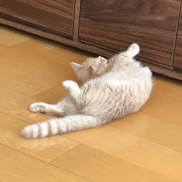 9d15283d 57c5 4383 8c47 df5ef93cf5e2 1538998716959