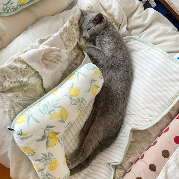 9d15404e 51d4 4ef6 abba bae2d3ef8416 1630032633407