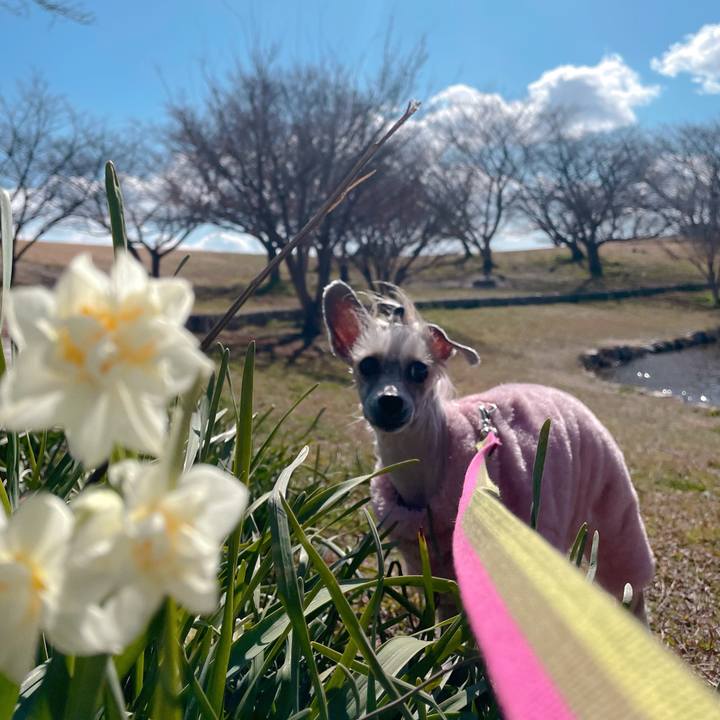 9d15507e f207 4864 8c5a 3b39ef1382e8 1771390251367