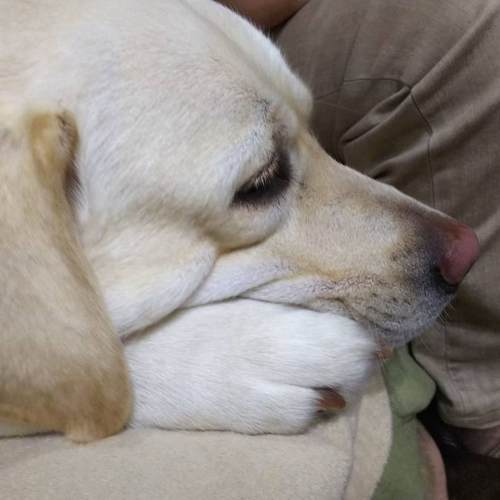 9d155e8b 89bc 4ac9 b6bf bb59fb8b8d9d 1524313190557