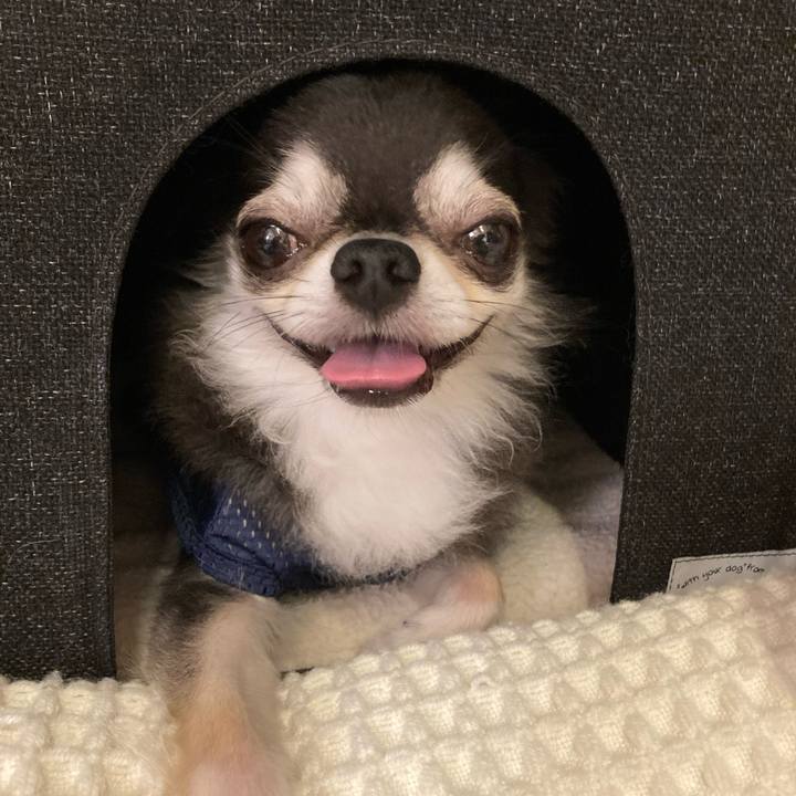 9d15626d 5e02 4fd5 abaf ba09a76e4a2e 1719762387222