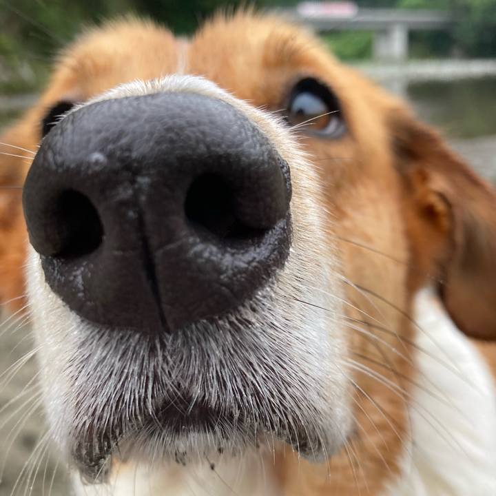 9d157b66 77b9 4ded 8864 390c7231237f 1721431551601