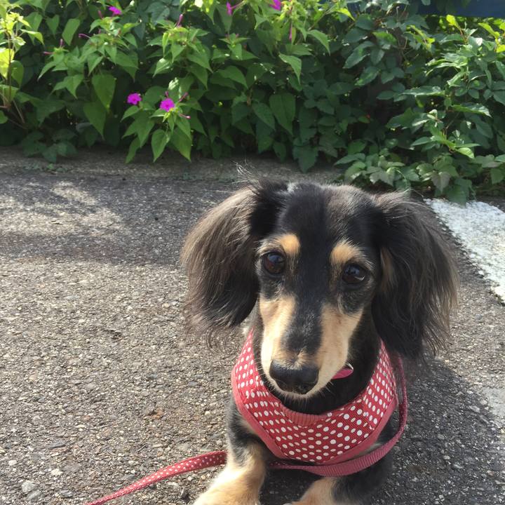 9d158e75 5177 4d67 ba53 8a0afa70ae30 1540255636055