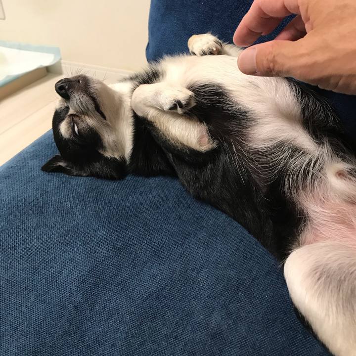 9d15a600 6fce 40b5 b484 5d7bccdeacbb 1560859565577