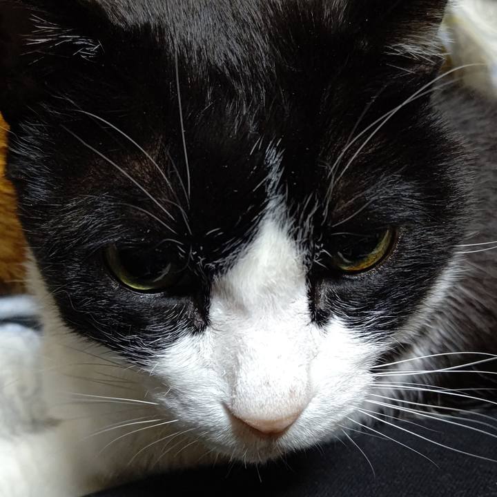 9d15d027 d07a 485a 9cb1 d724b55cb843 1642835516458