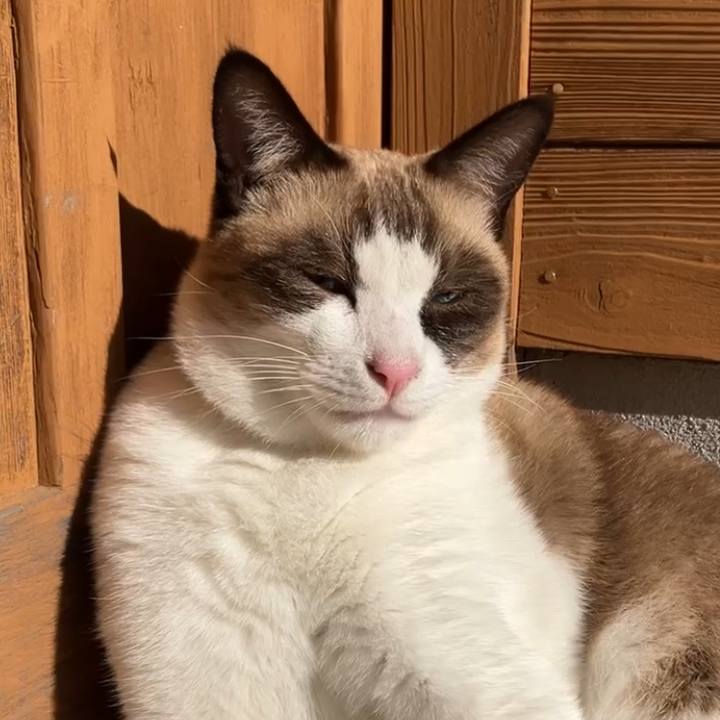 9d15e2a8 c64d 40ab 8650 f63b9b97035c 1730866993041