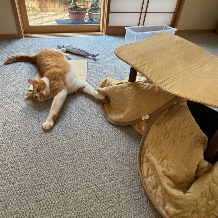 9d161709 ee67 4629 b01a 52c02ed26069 1768530029767