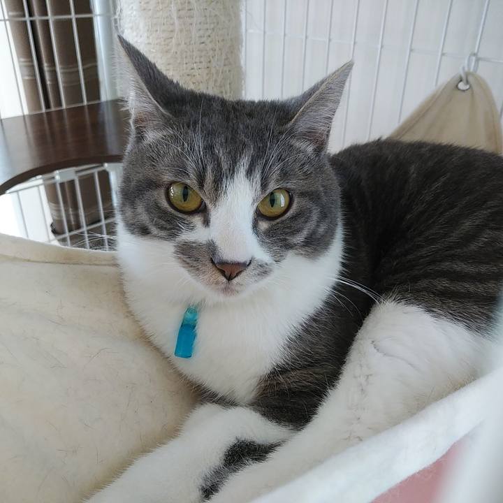 9d166abb 1866 44e6 bcc5 bf5b0f780344 1583884792837