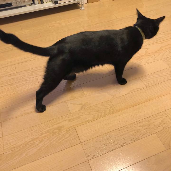 9d1673cf 9a1d 4782 b0f9 bb59441d3ae6 1540297717481