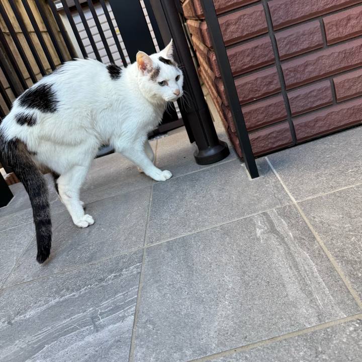 9d169285 4a26 4ee6 9ab8 3544b363b3f2 1763959709615