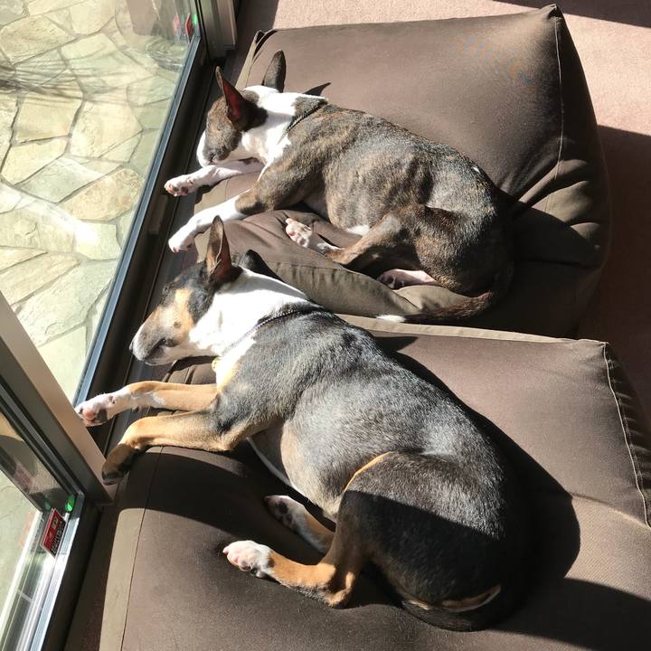 9d16b1d2 9271 4e95 b71b 6bae54d2cabe 1513051554855