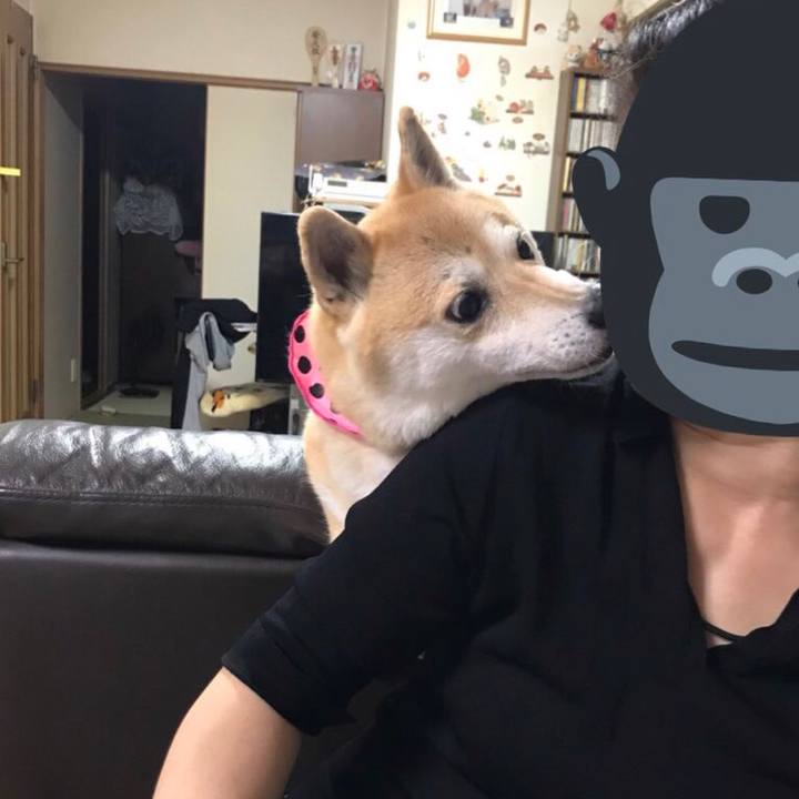 9d16c541 c964 4b2d 8b6d 9c573e551da3 1527256122822