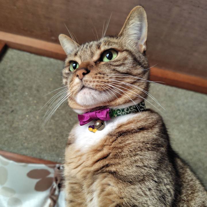 9d16eac2 1472 4cfe 84e4 a26d22abbcb3 1764122222820