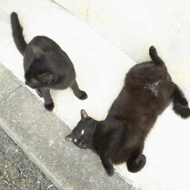 9d17242b a9ac 46f9 a59b 8c905eb4044e 1566624174405