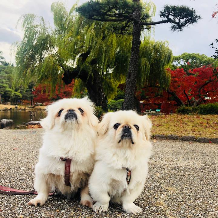 9d1729ea 5a56 4cad bdeb 2bf6bccd659d 1575531690344