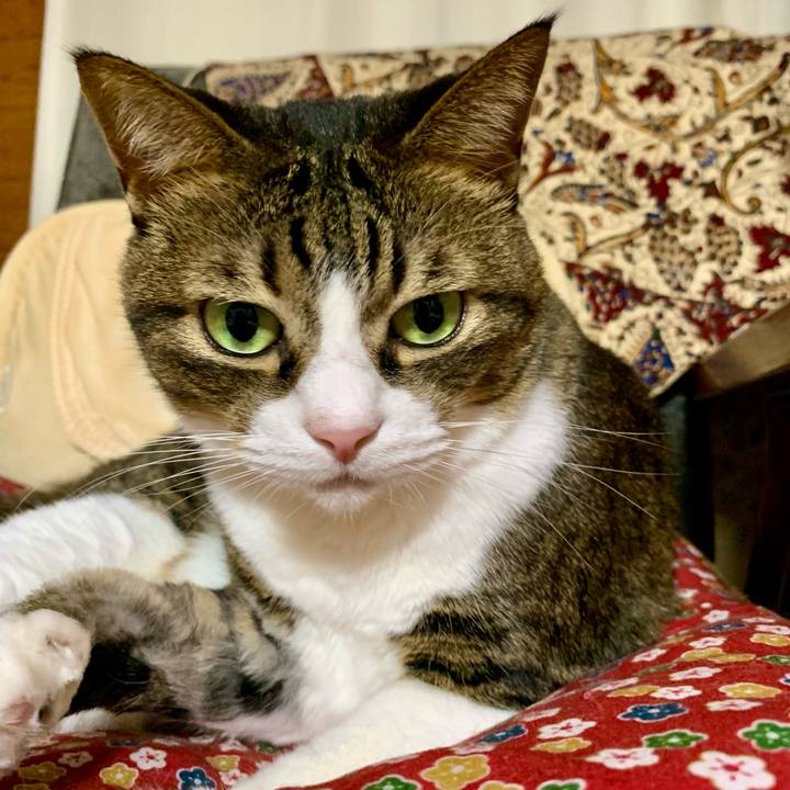 9d174186 89f0 45db 976e 8d7c7852680d 1606563664565