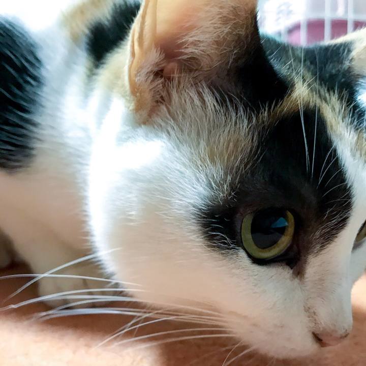 9d1757b9 5e5f 4c30 84f3 5e9df4091780 1511440923087