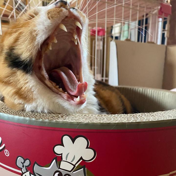 9d1789b3 c4f0 42b2 888a b1c299c55ddb 1646618401011