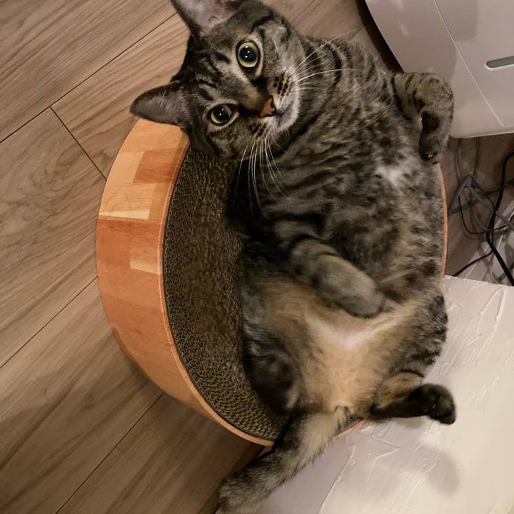 9d17b22e 5232 449d a141 a120d0bbd54d 1686569621181