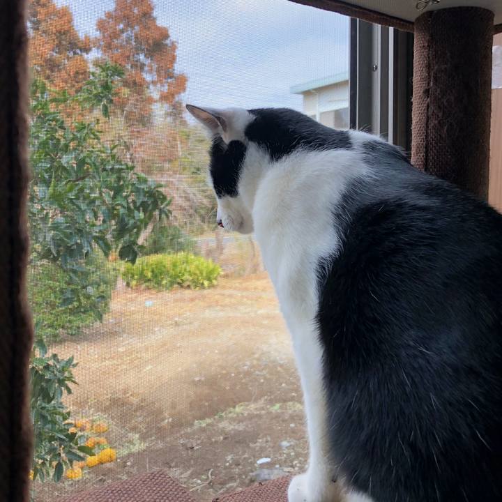 9d17e157 0d03 42fe 8ff8 a24c699ec962 1549433996491