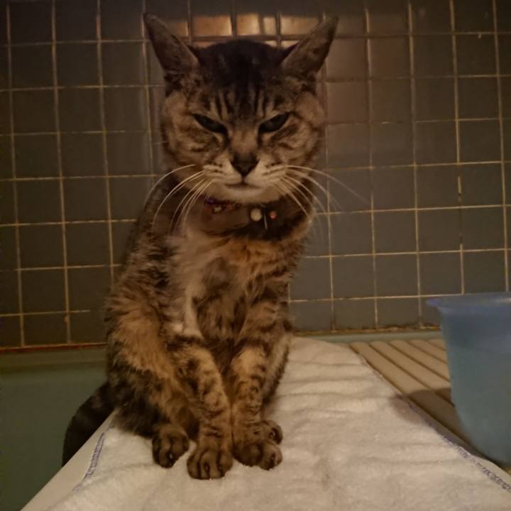 9d17f058 551a 4d47 9428 320d3efe0d65 1592563338820