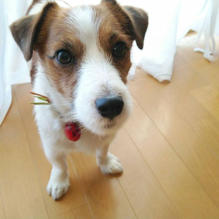 9d181d19 4881 4047 a5ff 1a9d243a2067 1515888943355