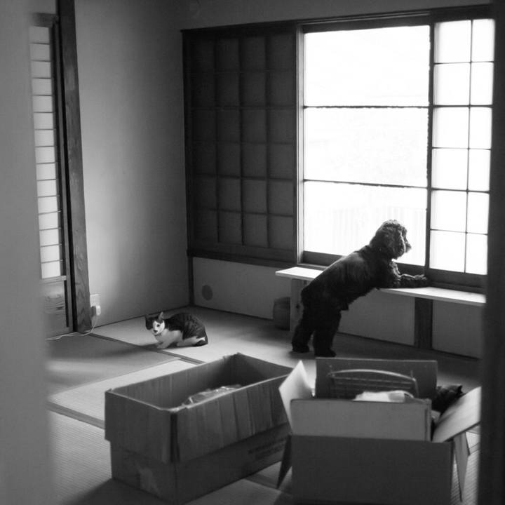 9d184206 e978 4f90 9044 28e848eb5776 1510143268886