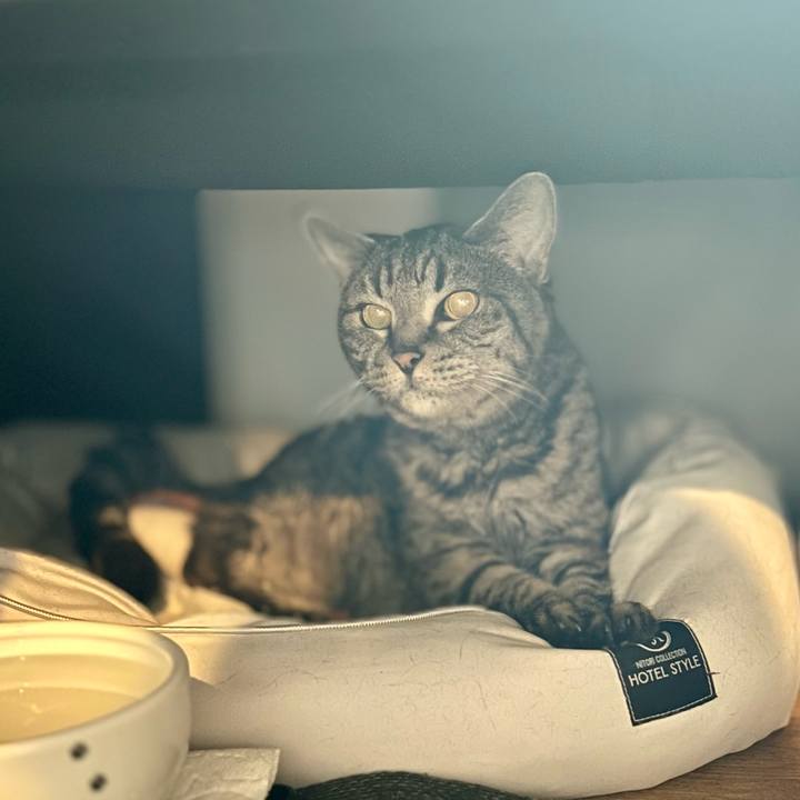 9d184faf 25d5 4fb9 bd47 f9b10cfe1a0f 1759662536870