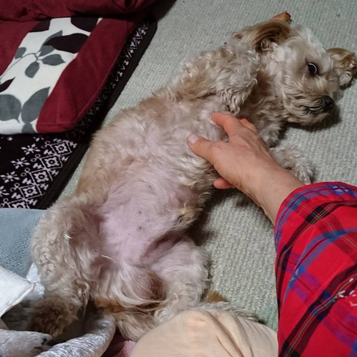 9d186215 5f2f 4f4f a3ac 5da7ff6cc2c6 1543506492129