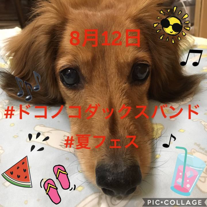 9d187e22 0c4b 49ee afa4 1ee543ae29fa 1532739402232