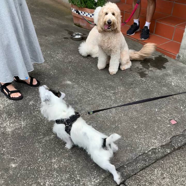 9d188363 6c92 4ea4 990d 5cd536d38f69 1657149769414