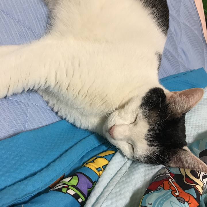 9d1897eb 1812 4516 bc9d 8e340c0ca4ad 1536242018145