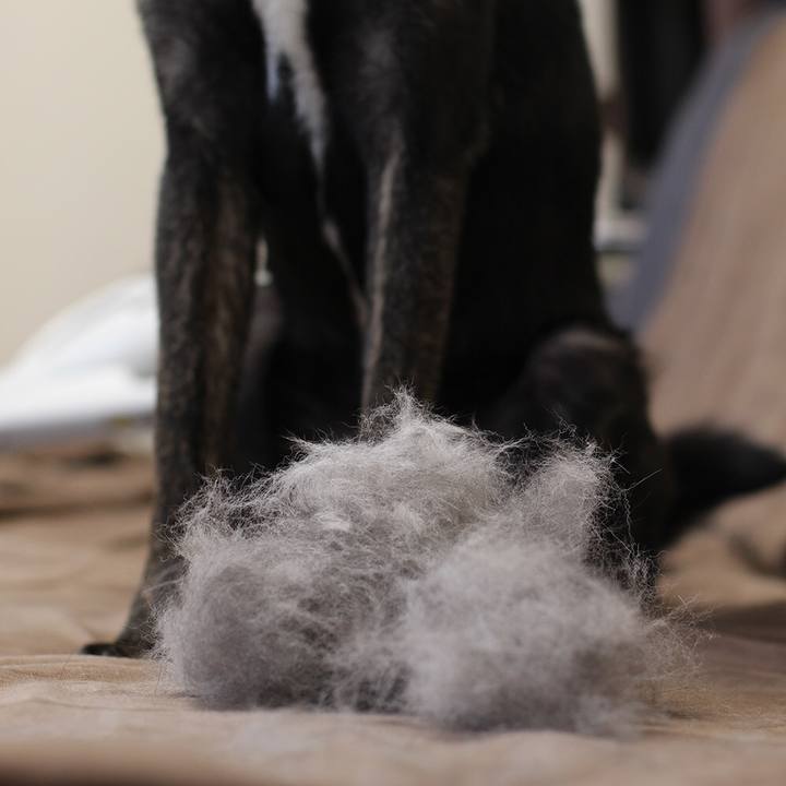 9d18fa20 845b 42a7 a3c2 79531a60a212 1526960581331