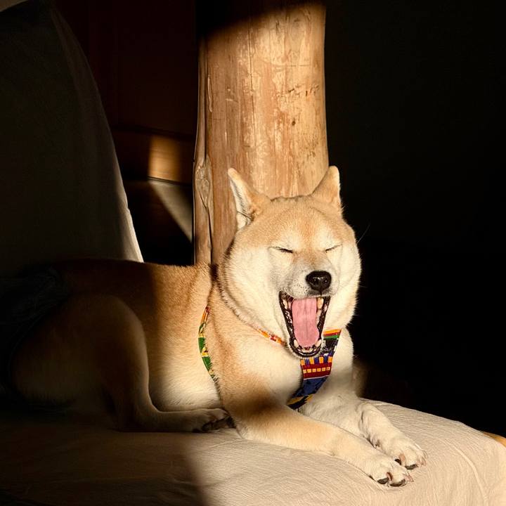 9d19015b d56a 4cb4 8676 88149ca5b032 1768203067104