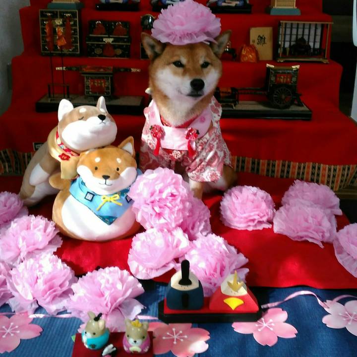 9d19424f f204 435b 8ab8 ed10b5b060e6 1520082151260