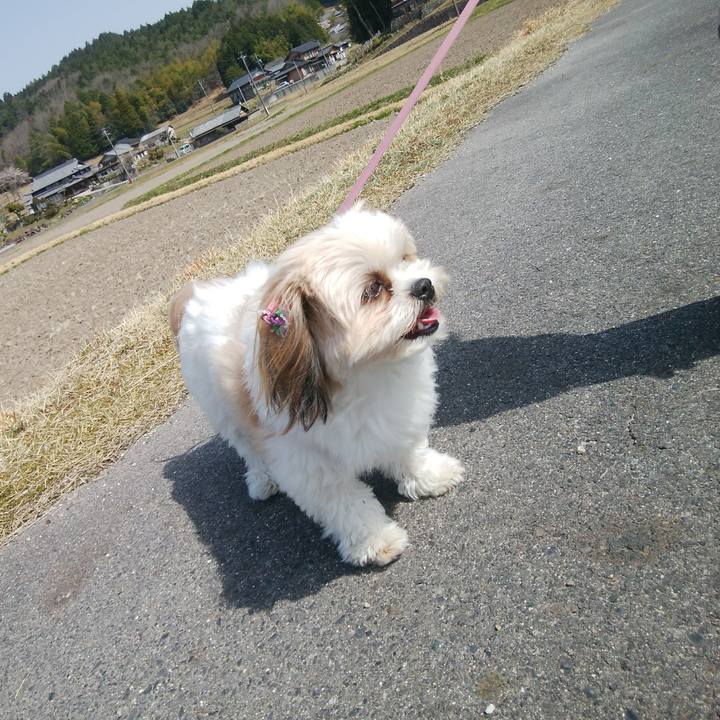 9d195685 5f2f 47da 8ec8 37c4844c57fa 1522547245883