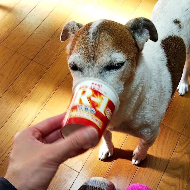 9d196c68 1ef9 43a8 8048 acd0d5f93486 1547866955989