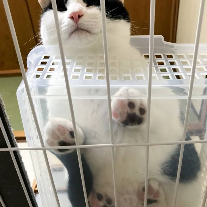 9d197693 dc28 4143 9841 ff3a6ee6b1da 1513213266599