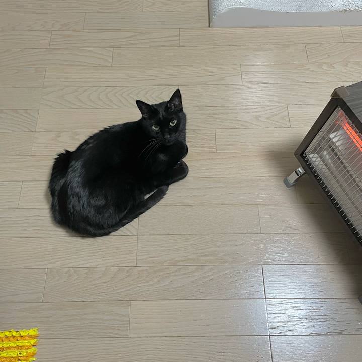 9d1976e0 afbe 40a2 aac7 23b73b5969cc 1674562236401